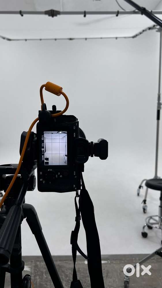 Photographer assitant need