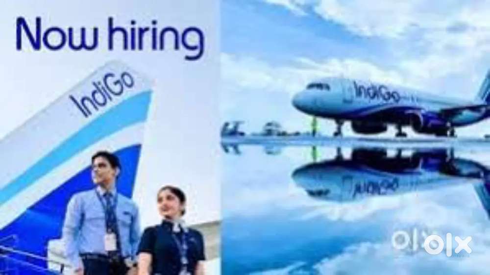 Cabin Crew/Airport Ground Staff Jobs in Indigo Airlines Apply Fast.