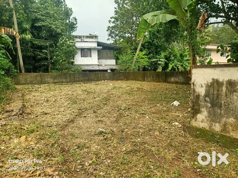4.350 CENTS HOUSE PLOT FOR SALE IN THEVAKKAL THENGOD ROUTE.