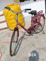 BSA Lady Bird