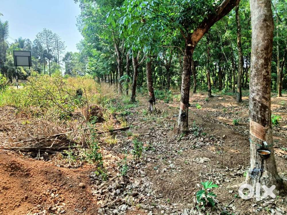 കാഞ്ഞിരമറ്റം  ടൌണിനടുത്ത്  20 സെന്‍റ്