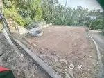 Land 8.4 cent University main road side 4.25 lakh/cent