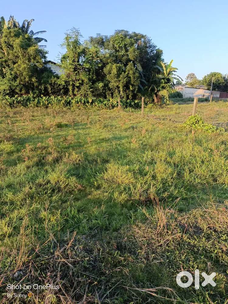 Class - bhal bari mati .1 katha myadi mati sale