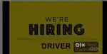 Professional Driver role as Trainer