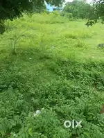 Land sales