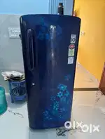 LG 235L 5 star rated refridgerator