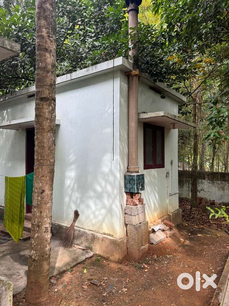 Beautiful Individual House for Rent – Thiruvattar