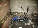Exercise cycle