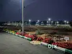 PRIME PLOTS FOR SALE