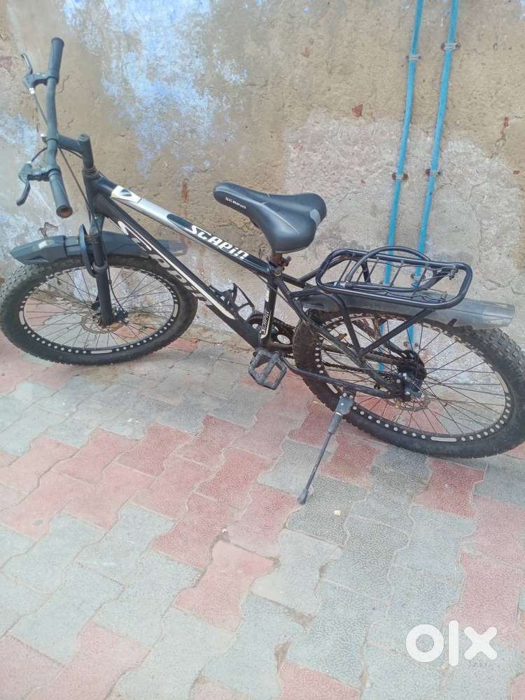 Scapin scoob bicycle