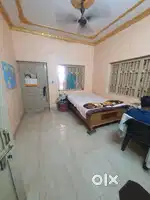 Need a room mate