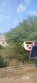 Amkhera plot