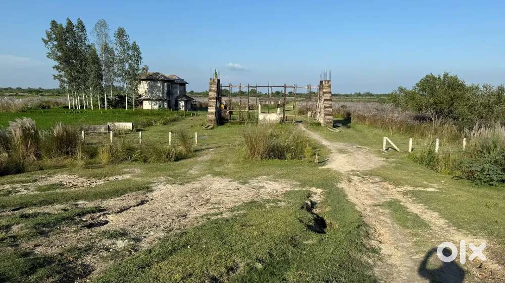 Buy Beegha Land in Lucknow for use of farm house and agriculture