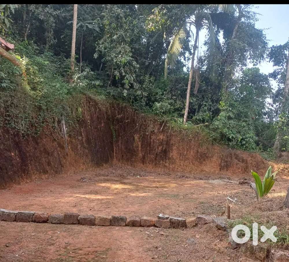 Land for sale near Highway with beautiful and peaceful atmosphere
