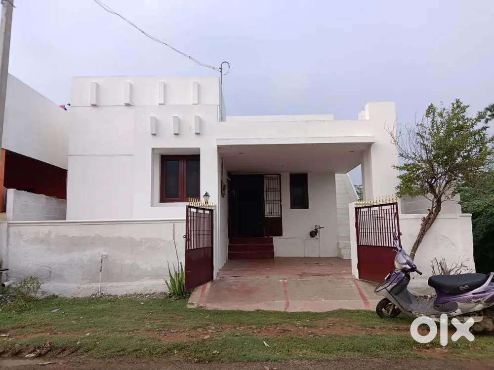 Individual house for rent