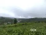 1 acre patta land  suitable for farm house in Gudalur
