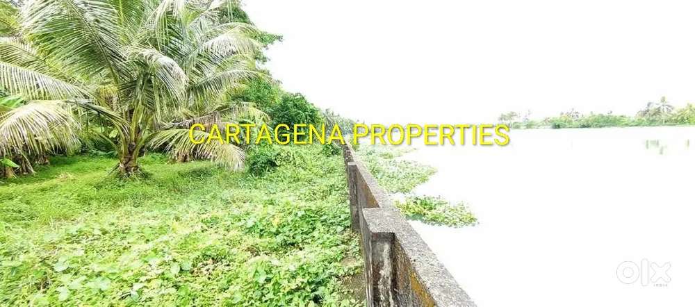 LAKE VIEW LAND, 147 CENTS, NEAR LAKESHORE HOSPITAL, 700 METERS TO NH