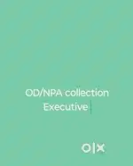 NPA Recovery Executive