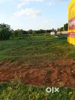 Land for rent