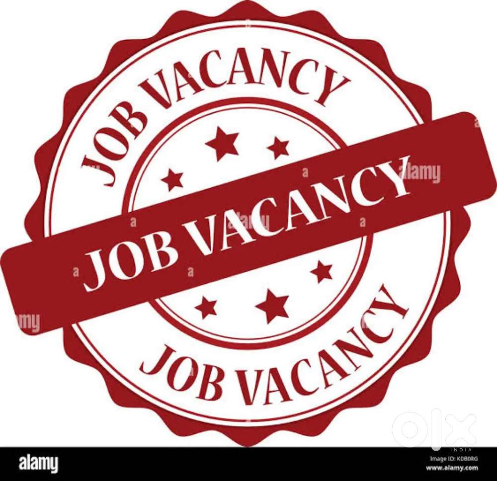 ** JOB HIRING FOR FRESHER **