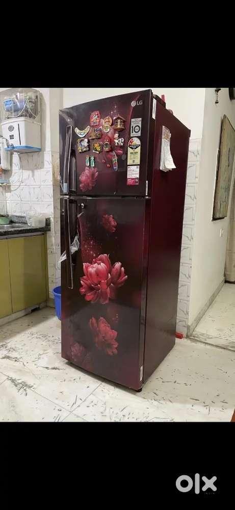 LG Double Door 284 litre Fridge