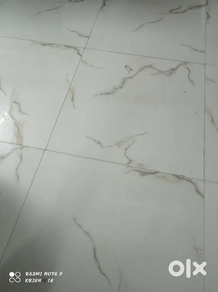 Need to room mate only for girls