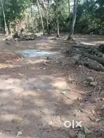 360 m2 Plot for Sale in Majorda, South Goa