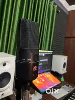 Microphone phone
