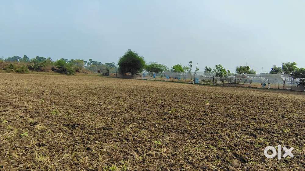 87 cents agriculture land for sale ---cost  87x2.5: 21750000