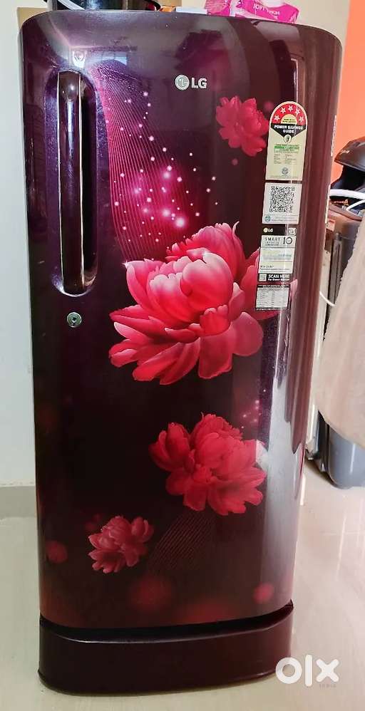 LG 185L 5-Star Inverter Single Door Fridge with Base Drawer–Excellent
