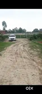 Kalli mati