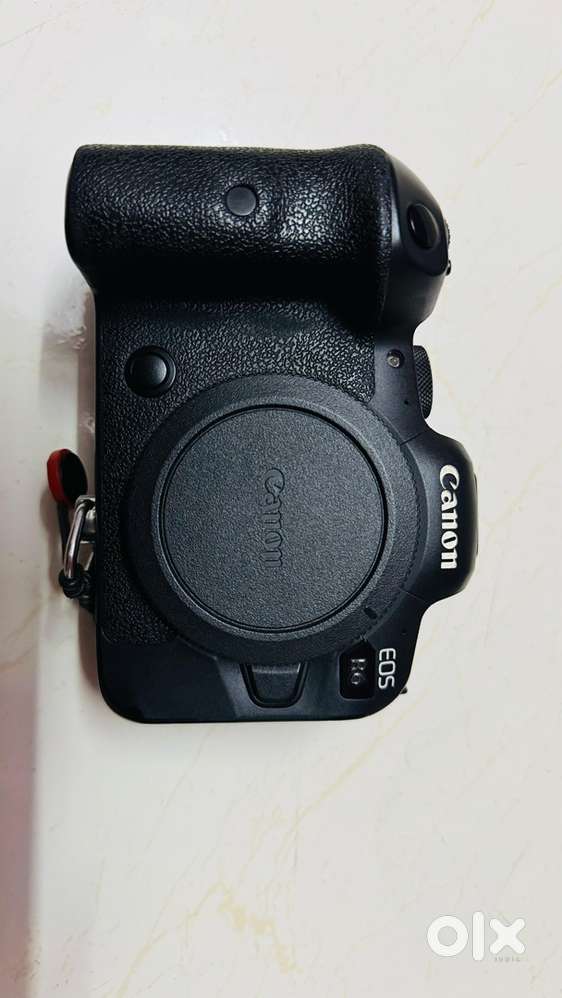 Canon EOS R6 & EF lens