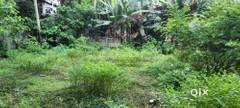 4 cents land at Nalamkallu