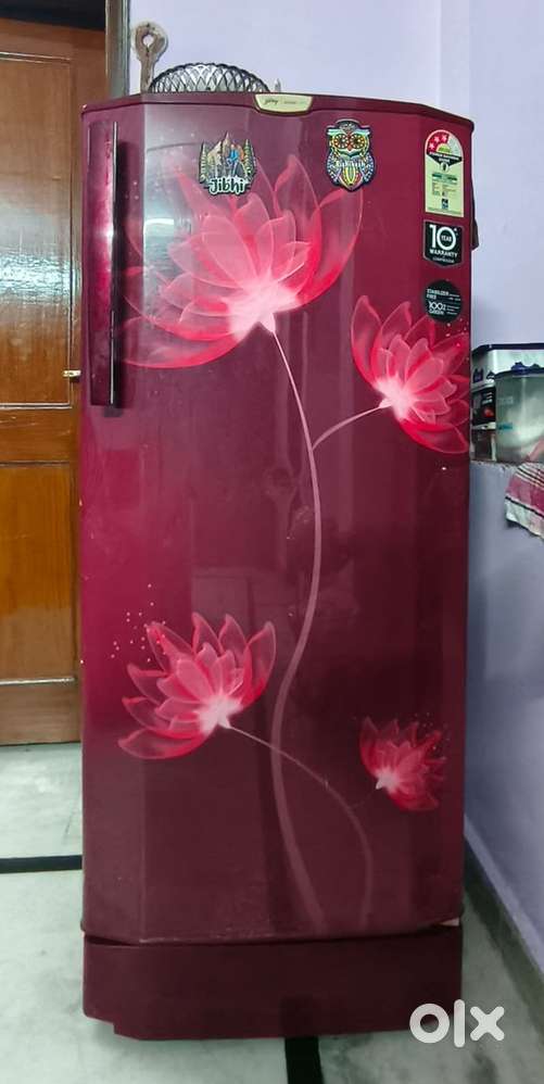 Godrej Single Door Refrigerator – Excellent Condition  Floral Design
