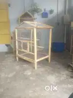 birds cage