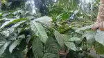 ചീരാലിൽ 2.70 ഏക്കർ സ്ഥലവും വീടും വിൽപ്പനയ്ക്ക്