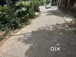 12.5 സെന്റ് പ്ലോട്ട് വില്പനക്ക്, പുല്ലുറ്റ് പള്ളത്തുകാട് റോഡിൽ
