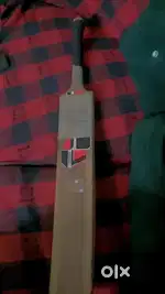 Cricket bat (tennis)