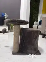 Cat house for cat lovers