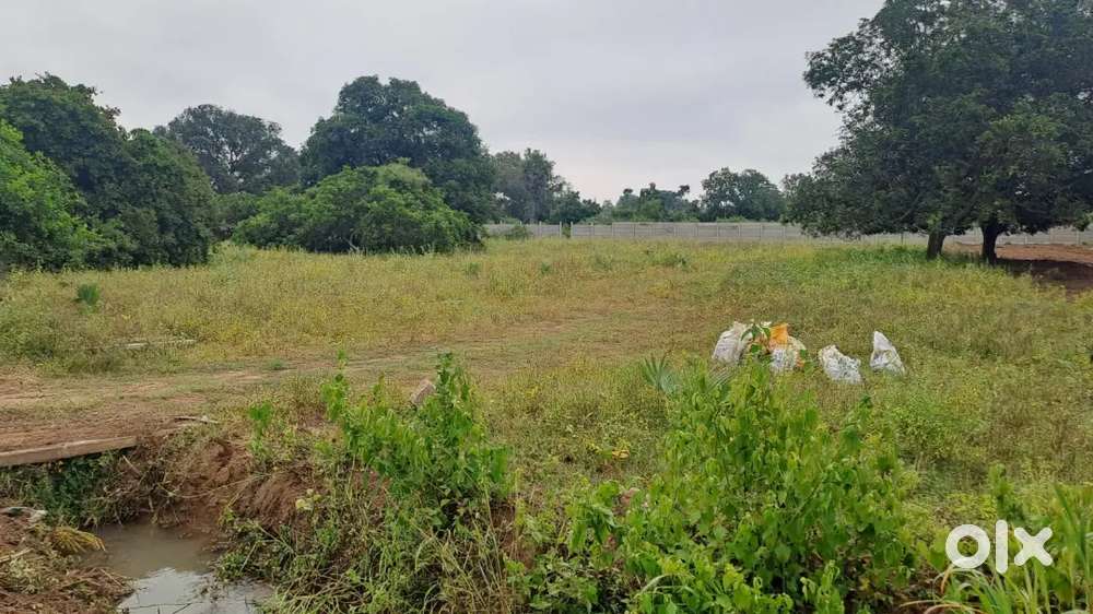 Sri gardens Farmlands