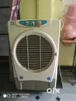 Air cooler