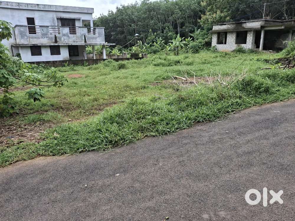 Vazhakulam, 14 cent house plot for sale.