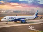 Vacancy Available In Indigo Airlines Authority
