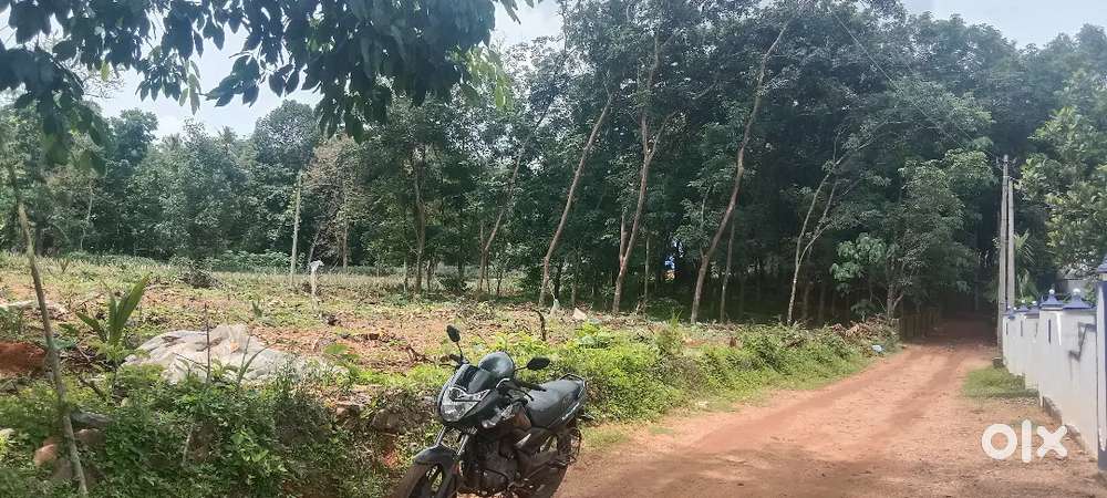 Piravom anchelpetty 15 cent houseplot 350 MTR busrout  1.25 lk only