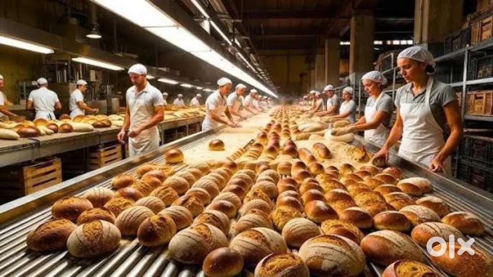 Wanted m/ f warehouse packing helpers
