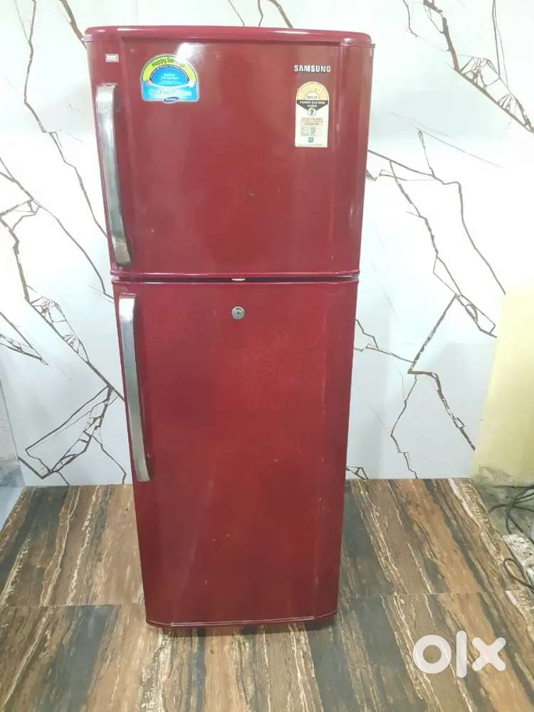 Samsung flower model double door refrigerator