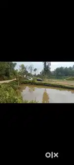 4 fish ponds for sale near bhoirymbong