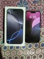 16 Pro Max(256GB)