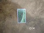 A special stamp around 15 to 20 years old and it coast around1000