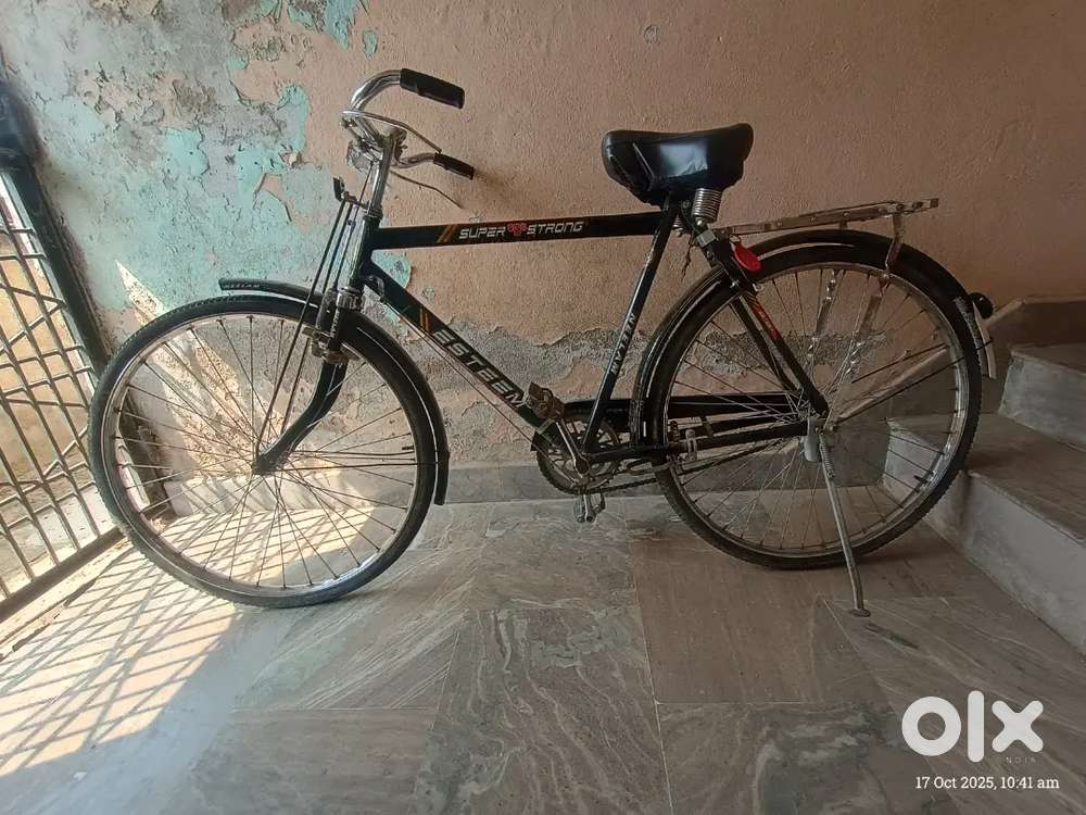 Neelam Esteem 22 inch bicycle 2022 model